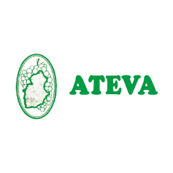 ateva
